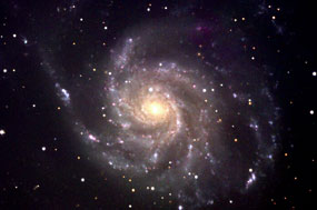 M101