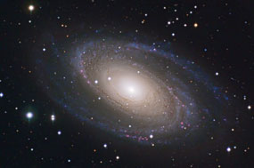 M81