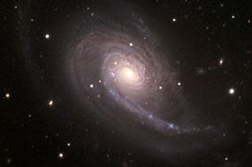 NGC772